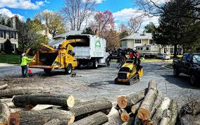 Best Leaf Removal  in Highland, CA